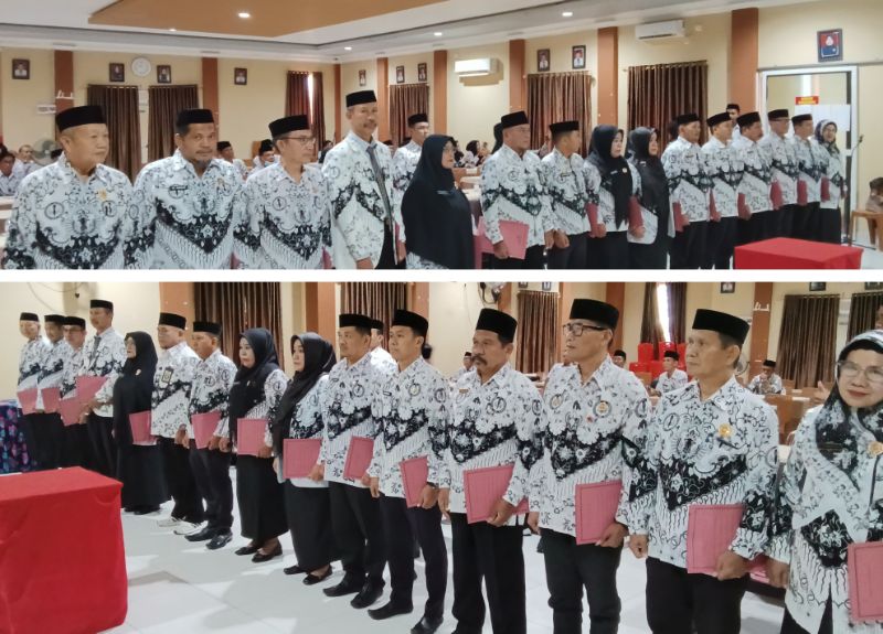 Bidang PGRI Kabjayawijaya - Persatuan Guru Republik Indonesia Cabang Kabjayawijaya